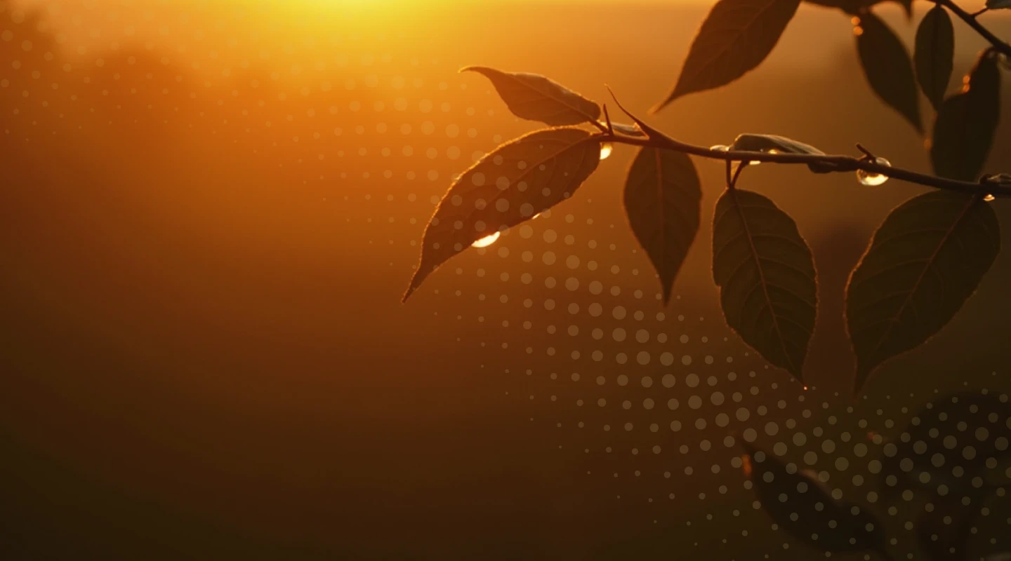 География вкуса 